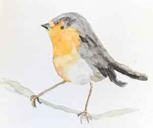 Bird
