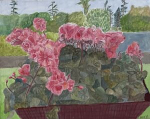 Geraniums